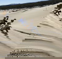 Port Stephens Bush Beach and Sand Dune 4WD Tag-Along Tour - Accommodation Georgetown