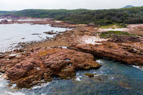 Port Stephens Bush, Beach And Sand Dune 4WD Tag-Along Tour - Accommodation Georgetown 4