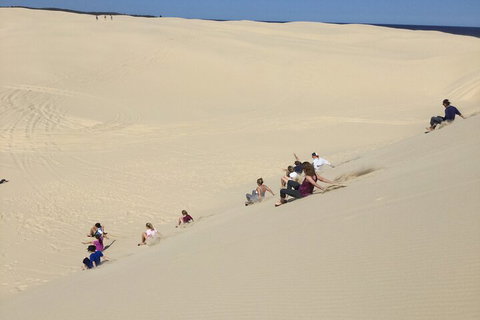 Port Stephens Bush, Beach And Sand Dune 4WD Passenger Tour - Accommodation Georgetown 4