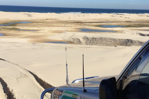 Port Stephens Bush, Beach And Sand Dune 4WD Passenger Tour - Accommodation Georgetown 5