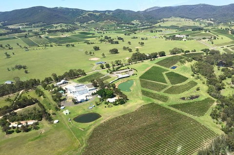 Helicopter Tour Of Hunter Valley In New South Wales With Lunch - Accommodation Georgetown 4