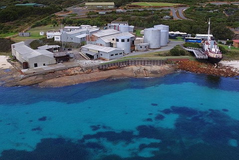 Albany's Whale Story - Accommodation Georgetown 4