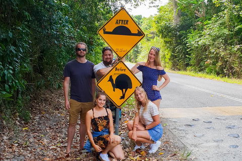 Cape Tribulation, Daintree Rainforest And Wildlife Tour - Accommodation Georgetown 0