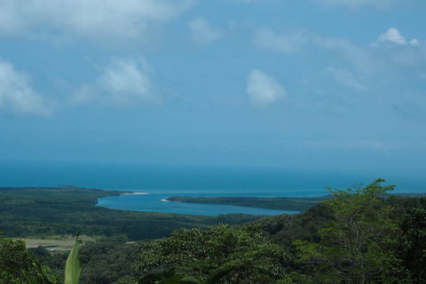 Cape Tribulation, Daintree Rainforest And Wildlife Tour - Accommodation Georgetown 1