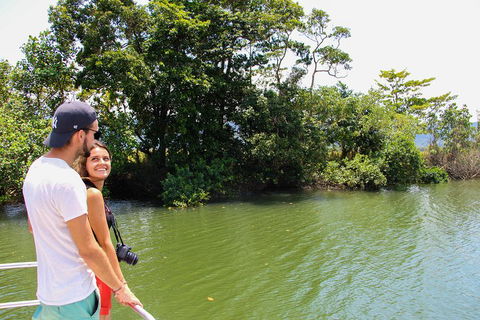 Cape Tribulation, Daintree Rainforest And Wildlife Tour - Accommodation Georgetown 2