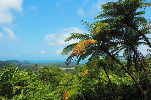 Cape Tribulation, Daintree Rainforest And Wildlife Tour - Accommodation Georgetown 3