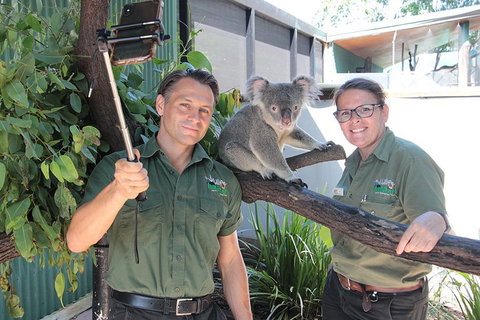 Virtual Interactive Australian Wildlife Tour With Private Guide-Wildlife Habitat - Accommodation Georgetown 0