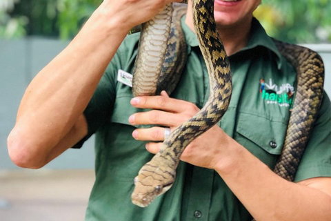 Virtual Interactive Australian Wildlife Tour With Private Guide-Wildlife Habitat - Accommodation Georgetown 1