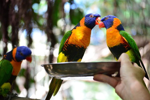 Wildlife Habitat Port Douglas - Accommodation Georgetown 0