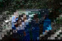 Sunshine Coast Hinterland and Noosa Day Trip from Brisbane Including Eumundi Markets and Ginger Factory