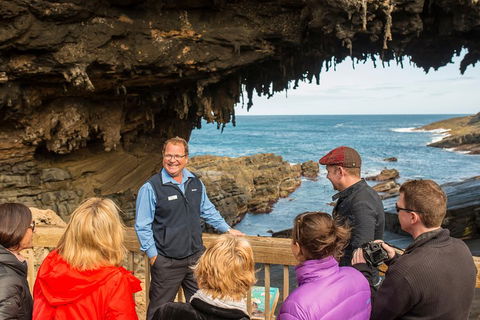 Kangaroo Island In A Day Tour From Adelaide - Accommodation Georgetown 3