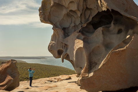 Kangaroo Island In A Day Tour From Adelaide - Accommodation Georgetown 5