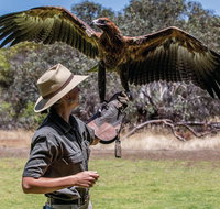 One Day Kangaroo Island Sip  See tour with return ferry transfers from Adelaide - Accommodation Georgetown