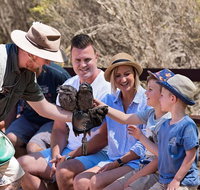 2 day Ultimate Kangaroo Island with return ferry - Accommodation Georgetown