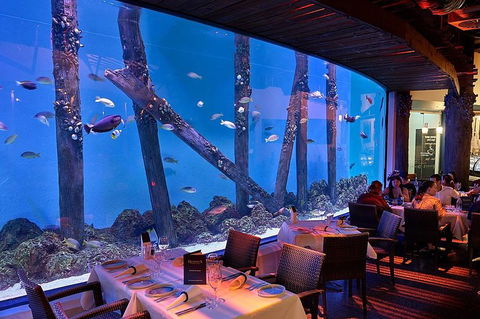 Cairns Aquarium And Small Group City Sightseeing Tour - Accommodation Georgetown 4