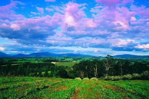 CHEVY CONVERTIBLE Package For 4 -Wine Lunch Cheese & Chocolate From Yarra Valley - Accommodation Georgetown 4