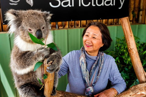 Moonlit Sanctuary Wildlife Conservation Park Daytime General Entry Ticket - Accommodation Georgetown 0