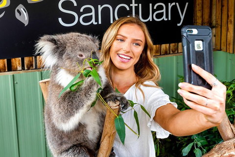 Moonlit Sanctuary Wildlife Conservation Park Daytime General Entry Ticket - Accommodation Georgetown 4