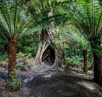 Adelaide to Melbourne 3-Day Trip through Grampians and Great Ocean Road - Accommodation Georgetown