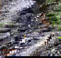 Full-Day Canyoning Experience at Stunning Empress Canyon - Accommodation Georgetown