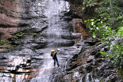 Full-Day Canyoning Experience At Stunning Empress Canyon - Accommodation Georgetown 0