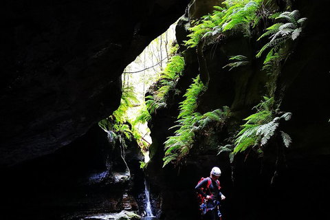 Full-Day Canyoning Experience At Stunning Empress Canyon - Accommodation Georgetown 2