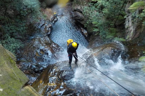 Full-Day Canyoning Experience At Stunning Empress Canyon - Accommodation Georgetown 4
