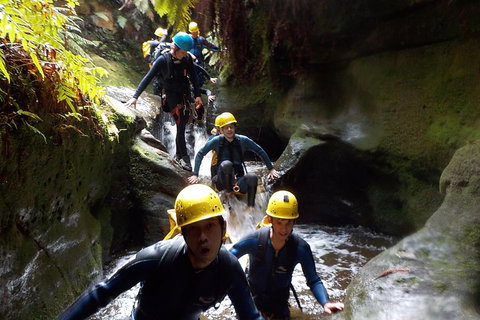 Full-Day Canyoning Experience At Stunning Empress Canyon - Accommodation Georgetown 5