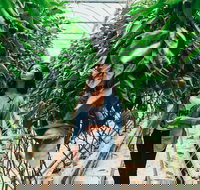 Yarra Valley Local Produce and Wine Tasting Tour - Accommodation Georgetown