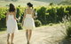 Yarra Valley Local Produce And Wine Tasting Tour - thumb 2