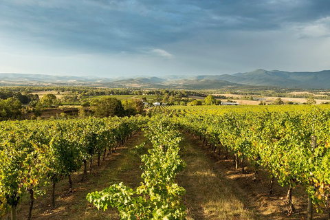 Yarra Valley Local Produce And Wine Tasting Tour - Accommodation Georgetown 3