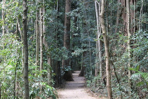 Eumundi Markets And Sunshine Coast Day Trip From Brisbane - Accommodation Georgetown 4