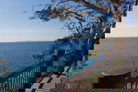 Noosa and Sunshine Coast Hinterland Day Trip from Brisbane