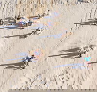 Unlimited Sandboarding - Accommodation Georgetown