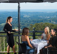 Sunshine Coast Hinterland Rainforest Views and Montville Day Tour Inc. Lunch - Accommodation Georgetown