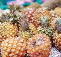 Sunshine Coast Eumundi Markets Return Minibus Transfer - Accommodation Georgetown