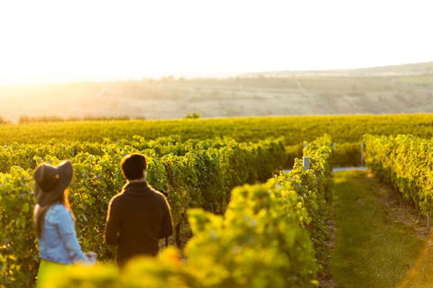 Margaret River Private Tour - Accommodation Georgetown 2