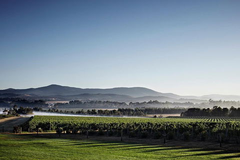 Chauffeur Driven Yarra Valley Group Wine Tour - Up To 7 - Accommodation Georgetown 2