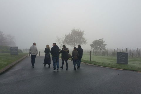 Chauffeur Driven Yarra Valley Group Wine Tour - Up To 7 - Accommodation Georgetown 4