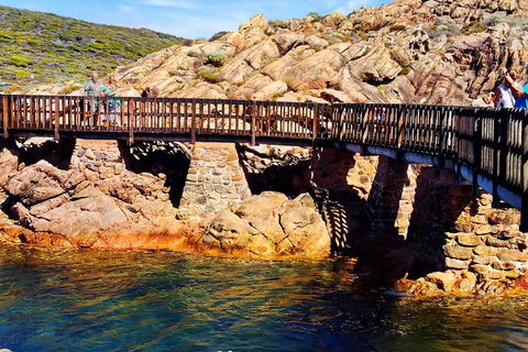 Margaret River (Private) Day Tour - Accommodation Georgetown 3