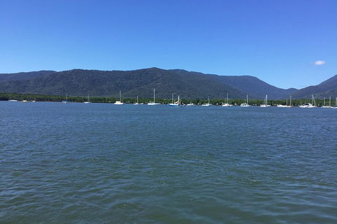 Cairns City Tour - Accommodation Georgetown 3