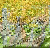 Margaret River Indulge and Discover Day Tour - Accommodation Georgetown