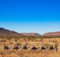 Alice Springs Camel Tour - Accommodation Georgetown