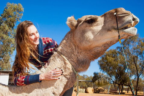 Alice Springs Camel Tour - Accommodation Georgetown 2