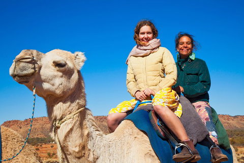 Alice Springs Camel Tour - Accommodation Georgetown 3