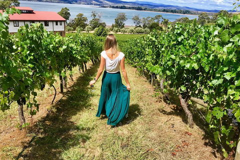 Tamar Valley Wine Tour With Lunch - Accommodation Georgetown 2