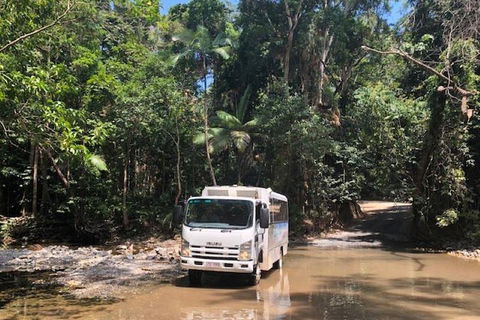 Cairns To Cooktown 4WD Tour - Accommodation Georgetown 5