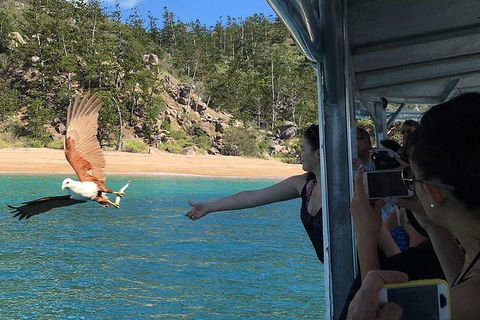 Aquascene Magnetic Island Discovery Tour - Accommodation Georgetown 2