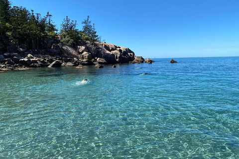 Aquascene Magnetic Island Discovery Tour - Accommodation Georgetown 5