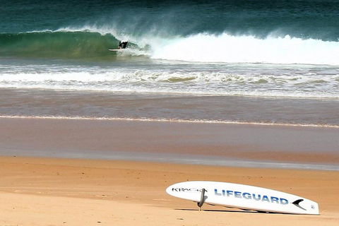 Half Day Manly Beach And More - Accommodation Georgetown 5